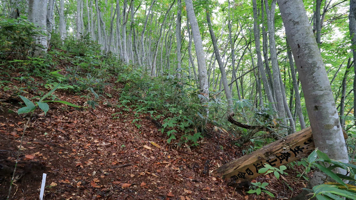弥生登山道四合目