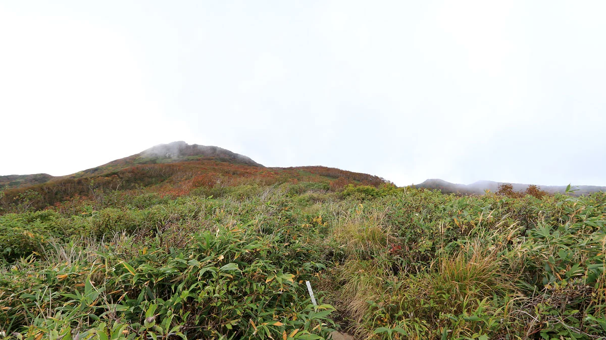 平原。正面奥に岩木山の山頂