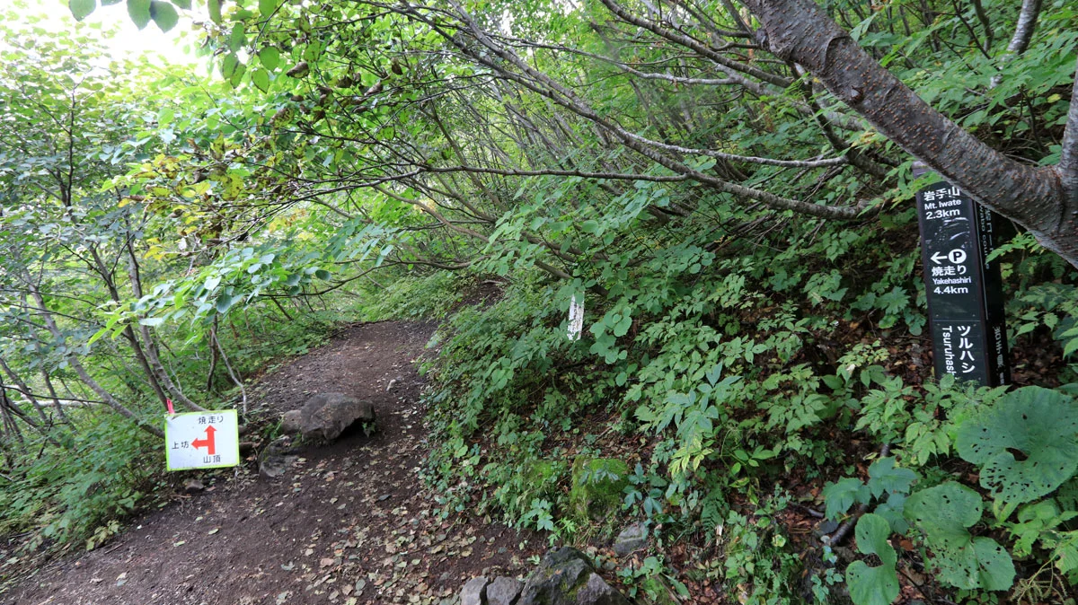 ツルハシわかれ