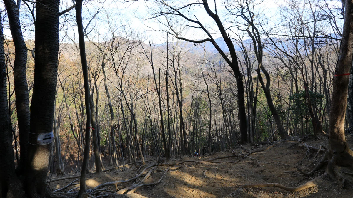 下が見えないほどの急斜面