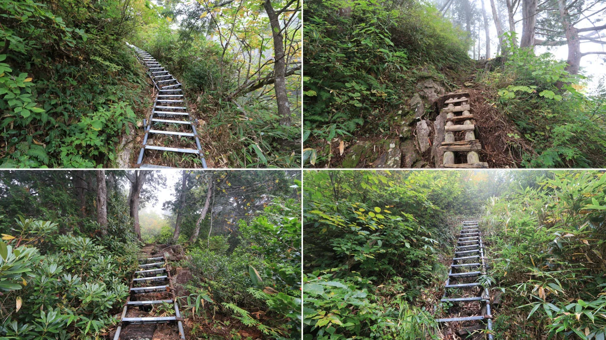登山道のはしご場