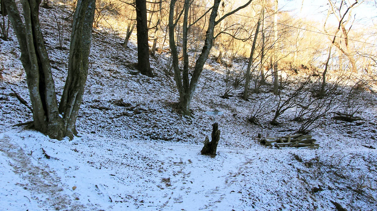和田峠コースとの合流地点