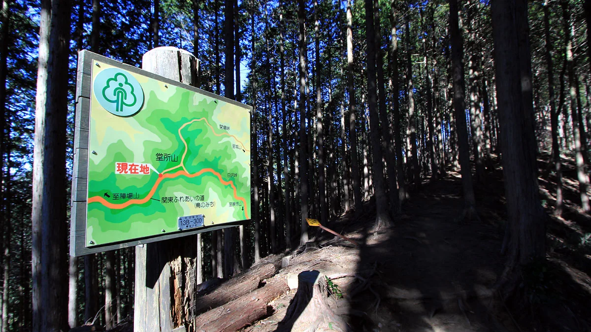 堂所山への分岐点地点