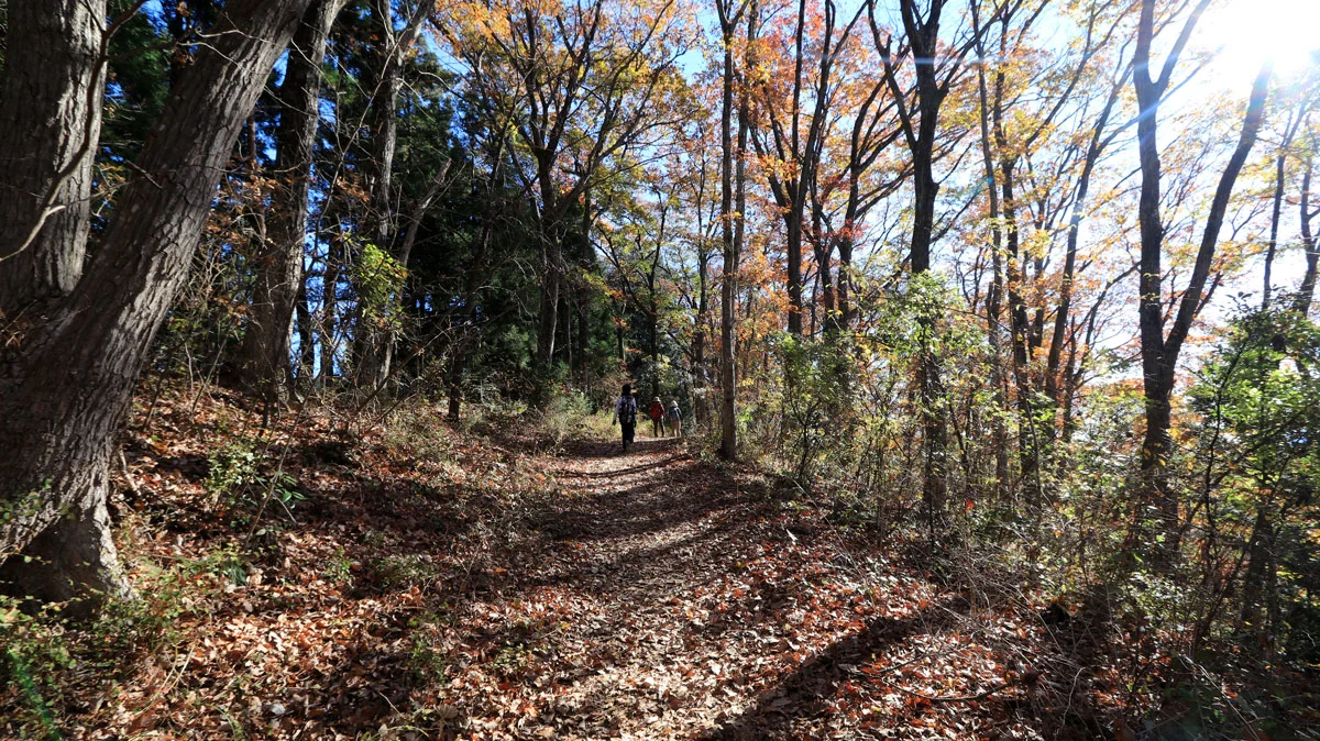 一ノ尾尾根登山口
