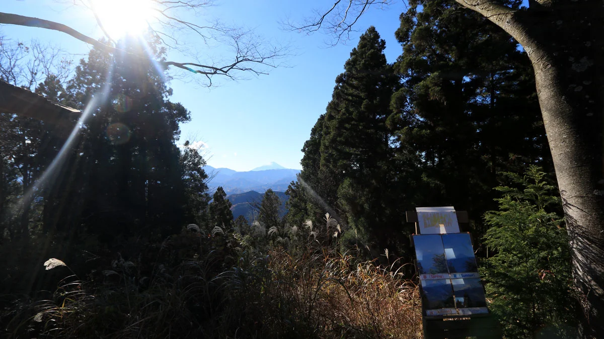 木の隙間から富士山