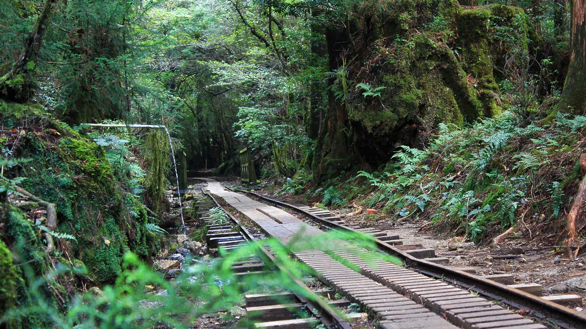 楠川分かれ直前