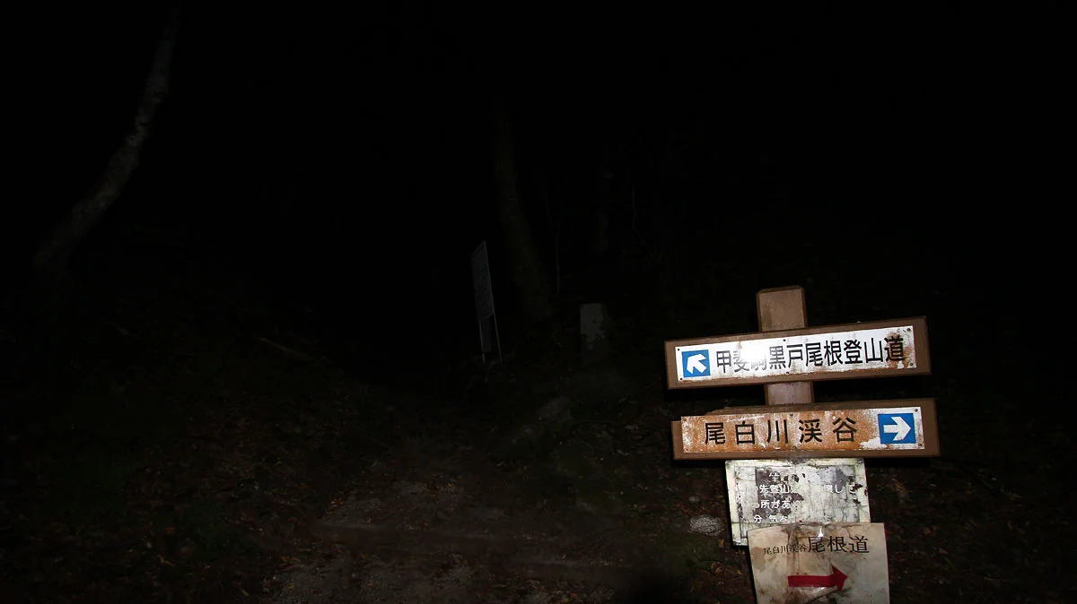 尾白川渓谷との分岐地点