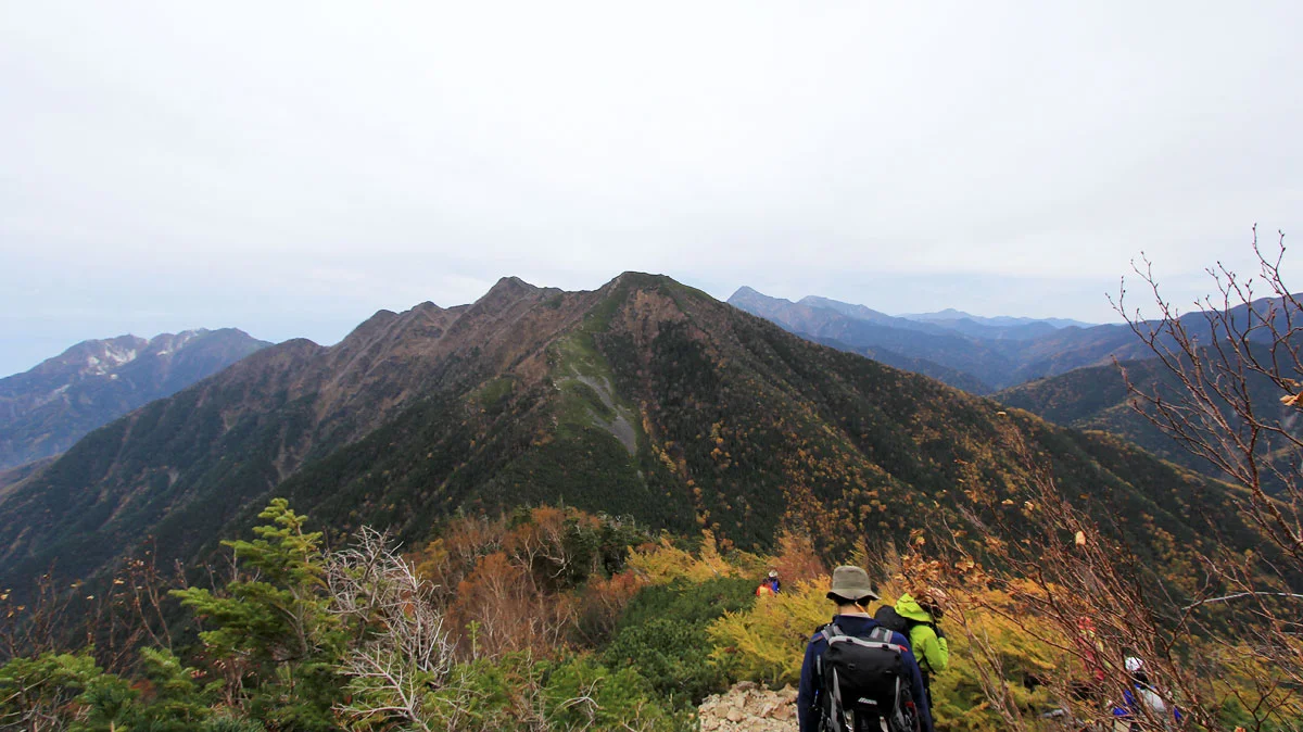 仙水峠への道。正面に栗沢山とアサヨ峰