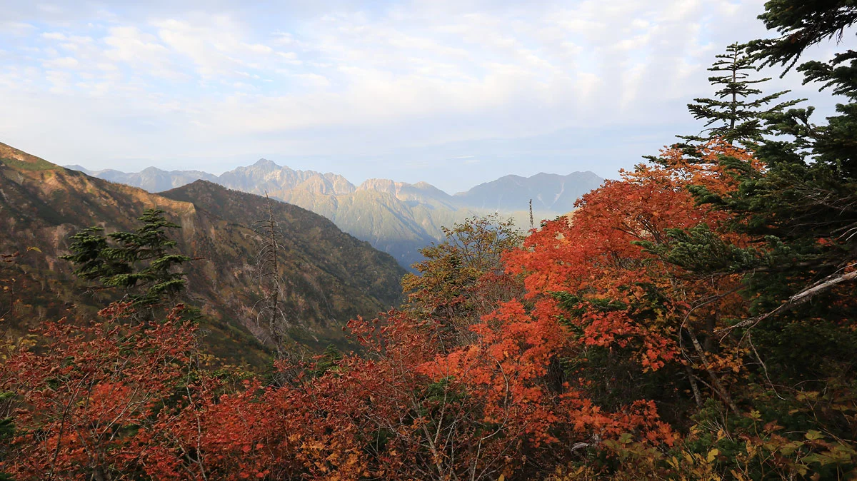 剱岳をバックにした紅葉
