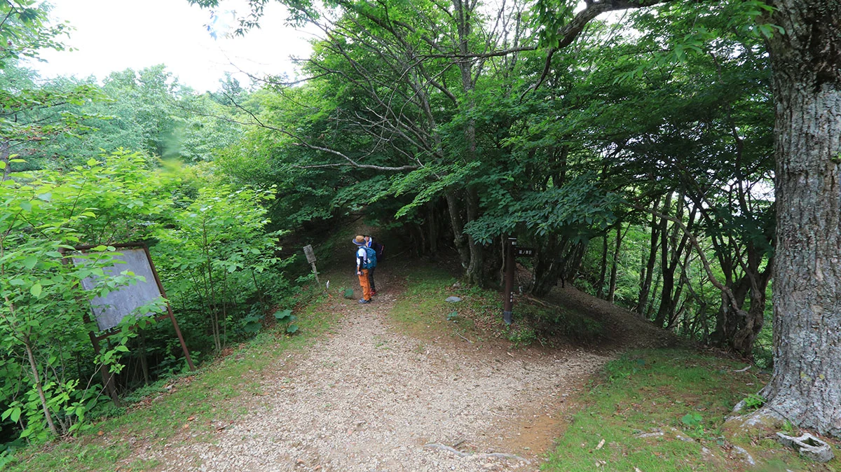 山頂近くの分岐