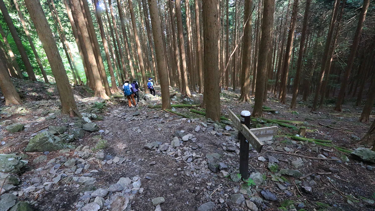 本仁田山への分岐
