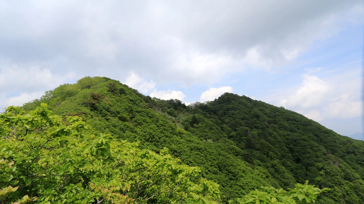 金ヶ岳北峰と南峰