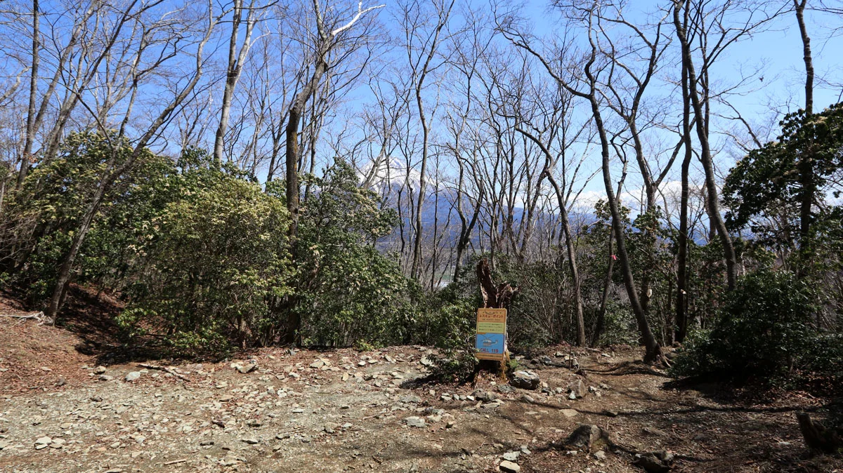 レスキューポイント