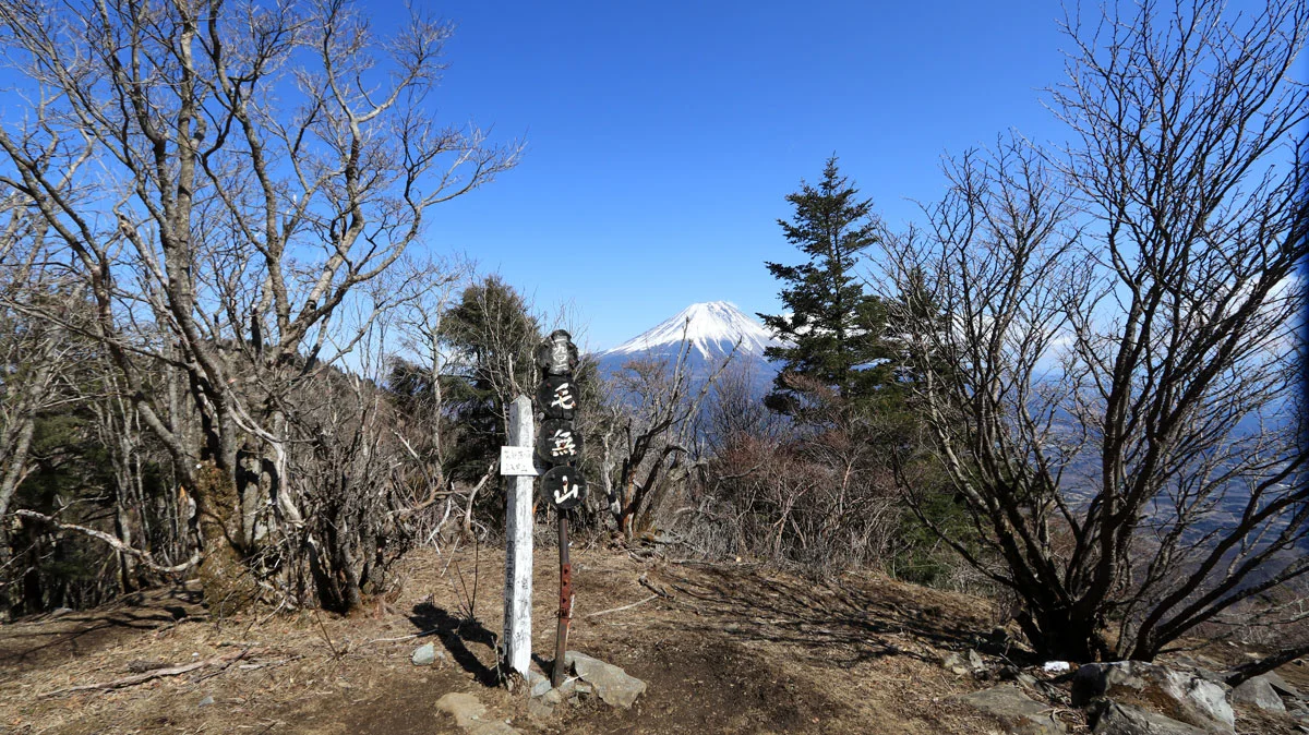 毛無山の山頂