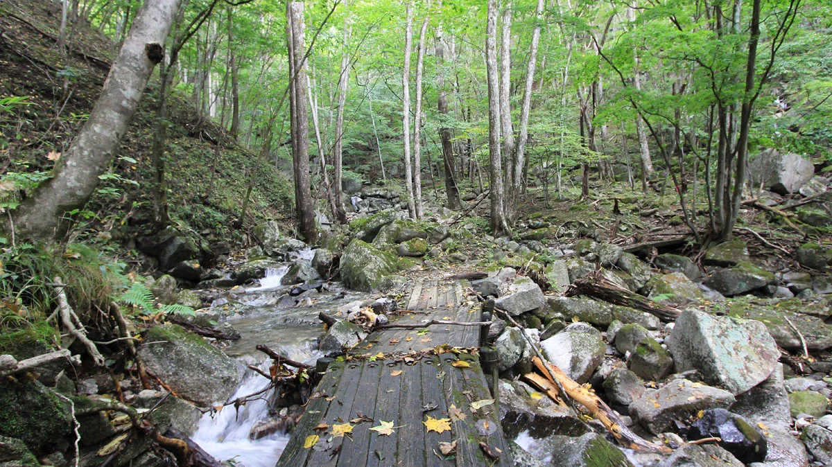袈裟丸山登山道