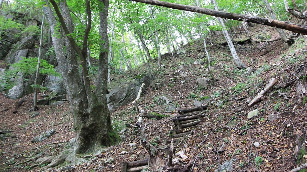 寝釈迦直前の登り道