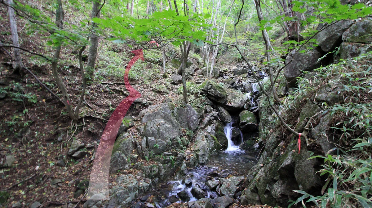 道がわかりづらい袈裟丸山登山道
