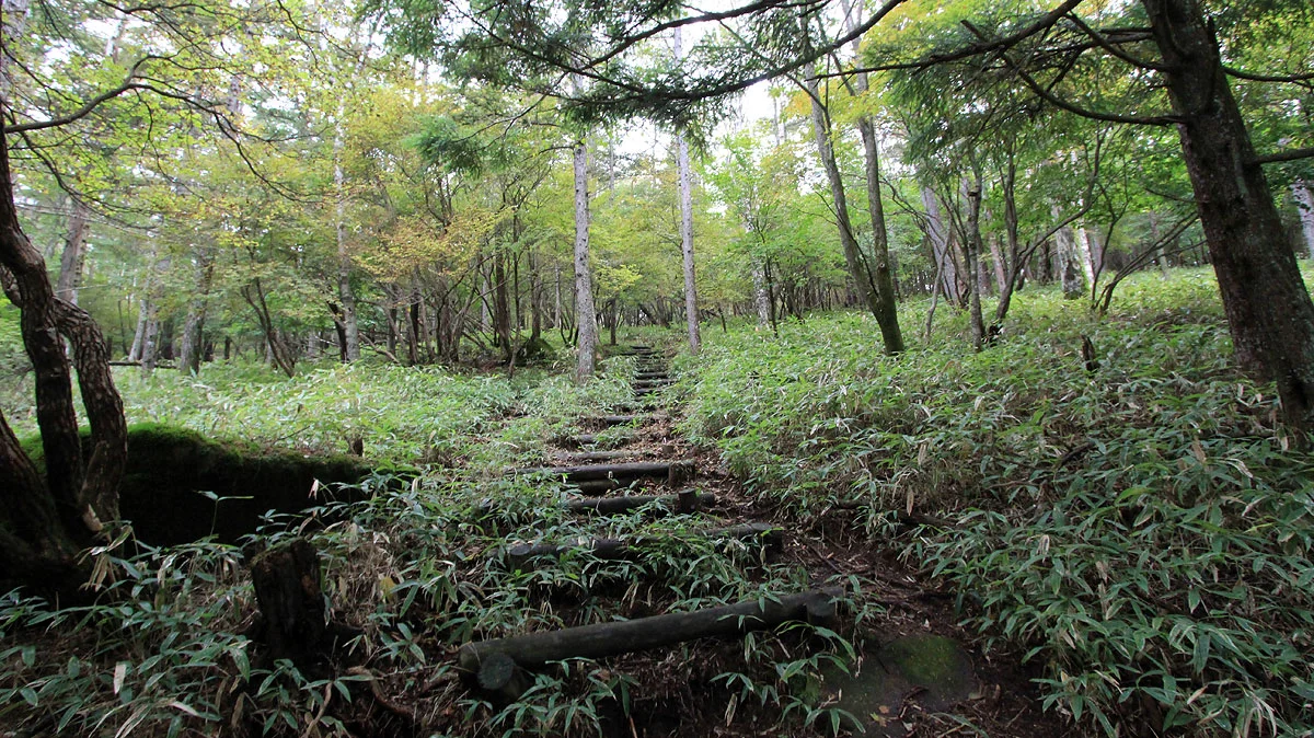 賽の河原まで続く階段