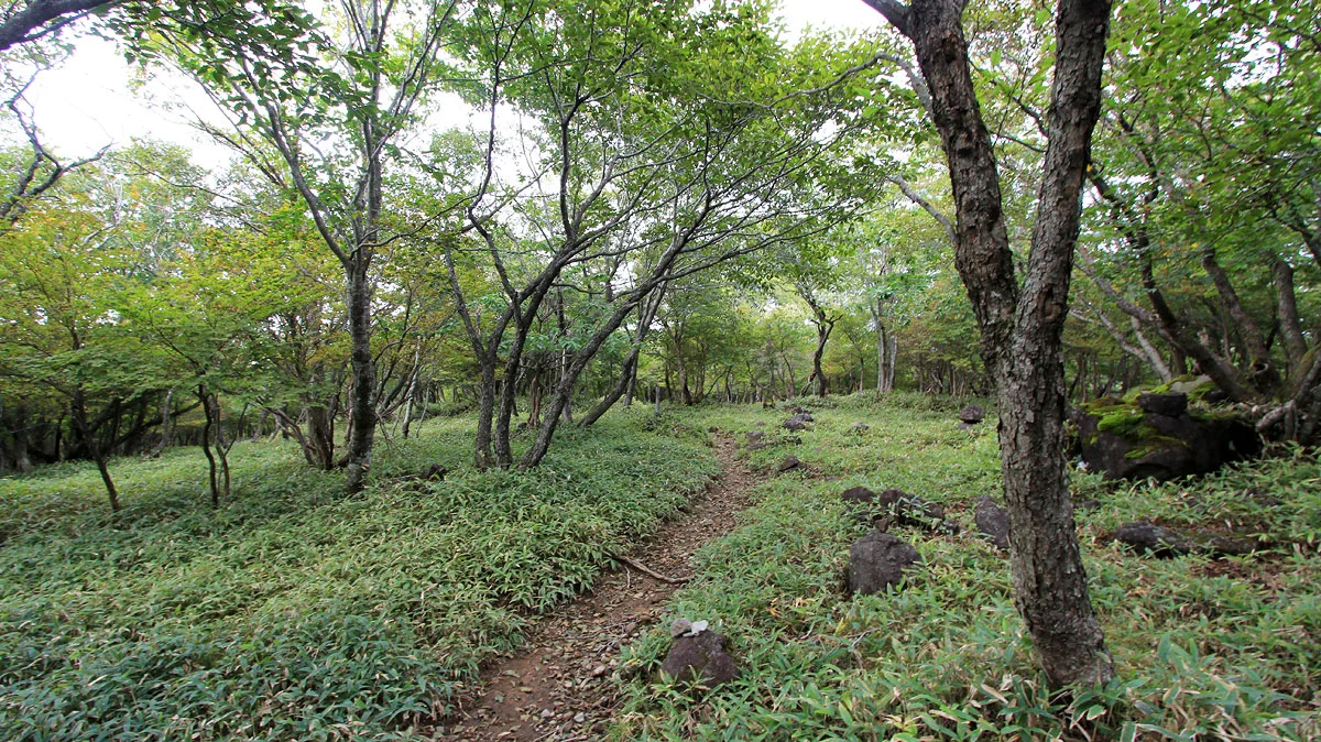 賽の河原出発直後の登山道。