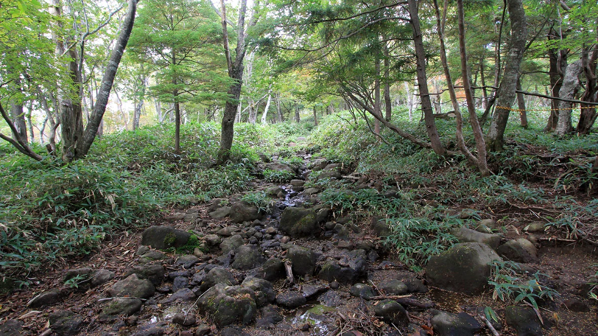 小丸山(小袈裟)への登り道