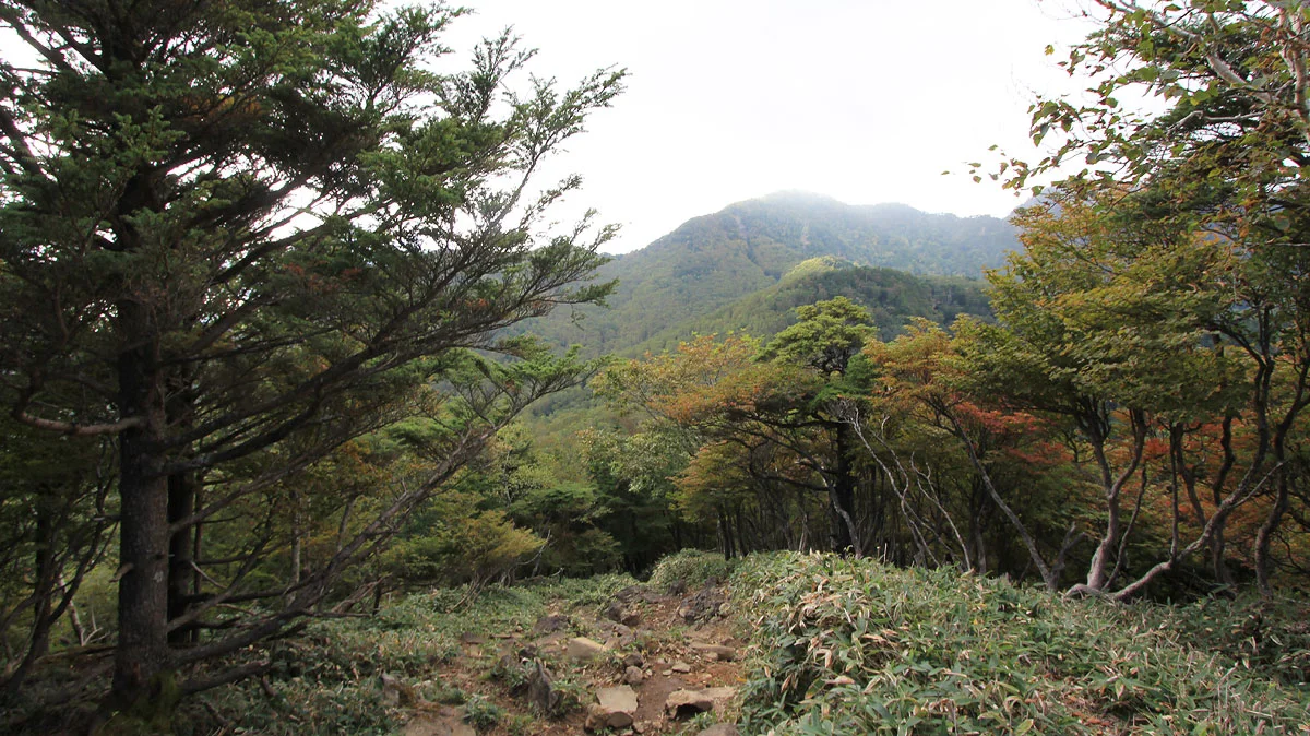 正面に袈裟丸山