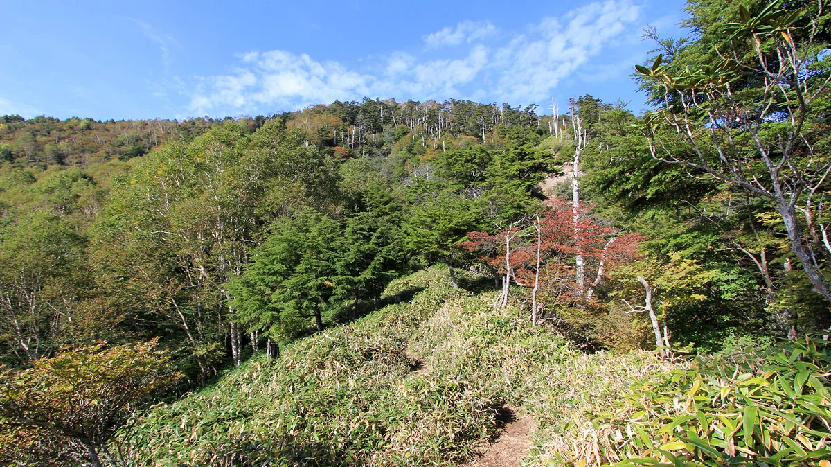 前袈裟丸山登山道