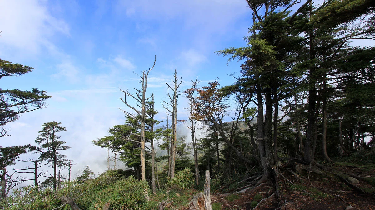 霧に包まれる後袈裟丸山方面