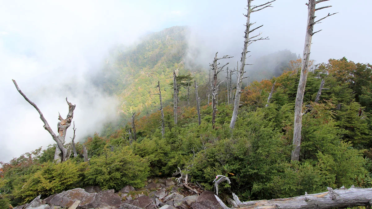 後袈裟丸山方面にかかる霧
