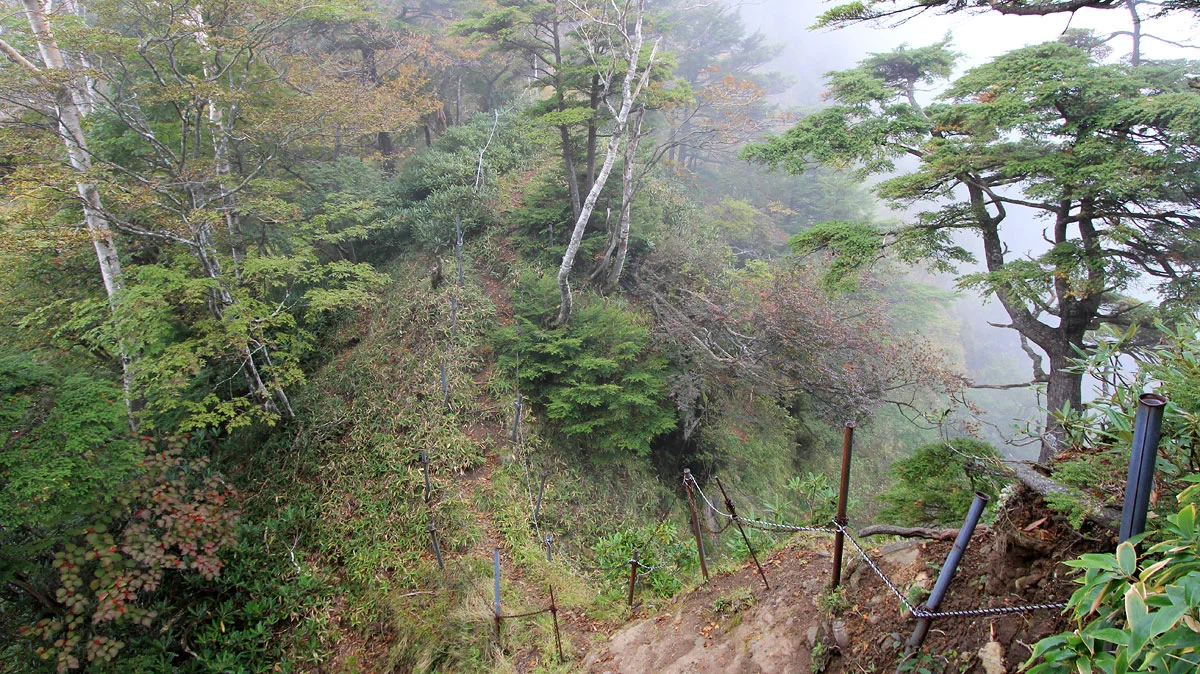 後袈裟丸山へ続く登山道