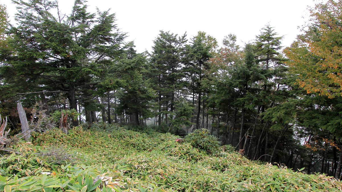 後袈裟丸山から登ってきた八反張方面