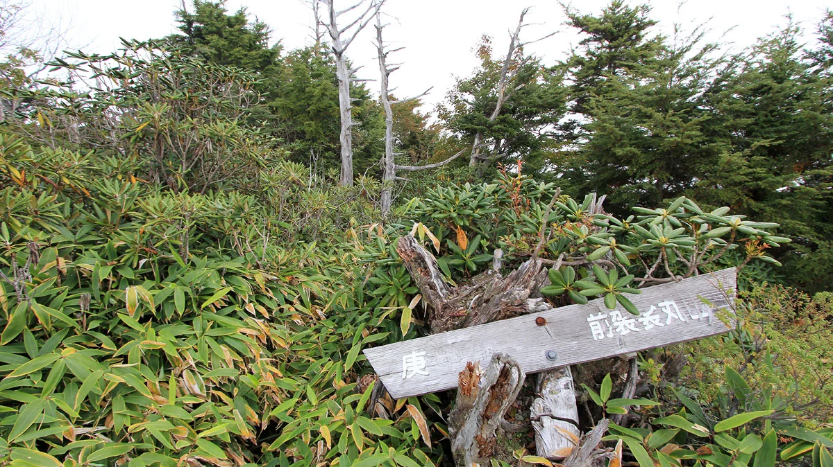 庚申山へと書かれた道標