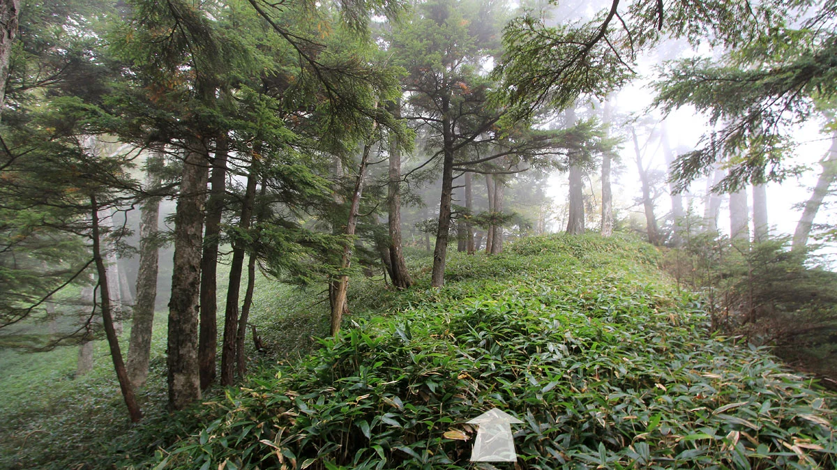 袈裟丸連峰登山道