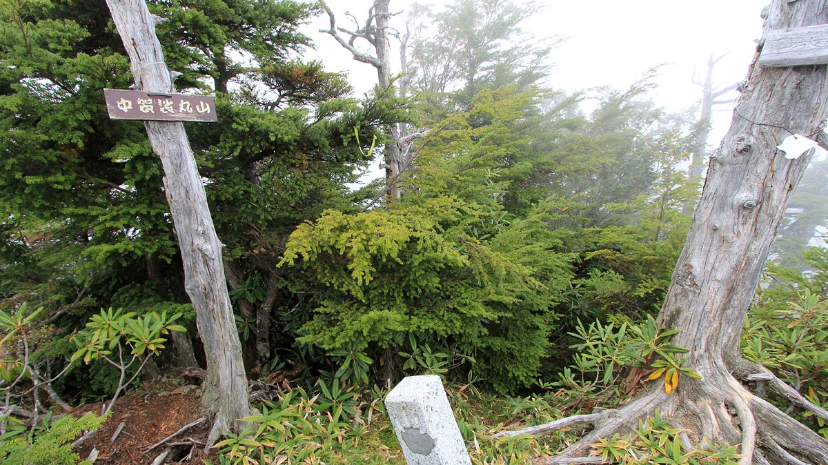 中袈裟丸山