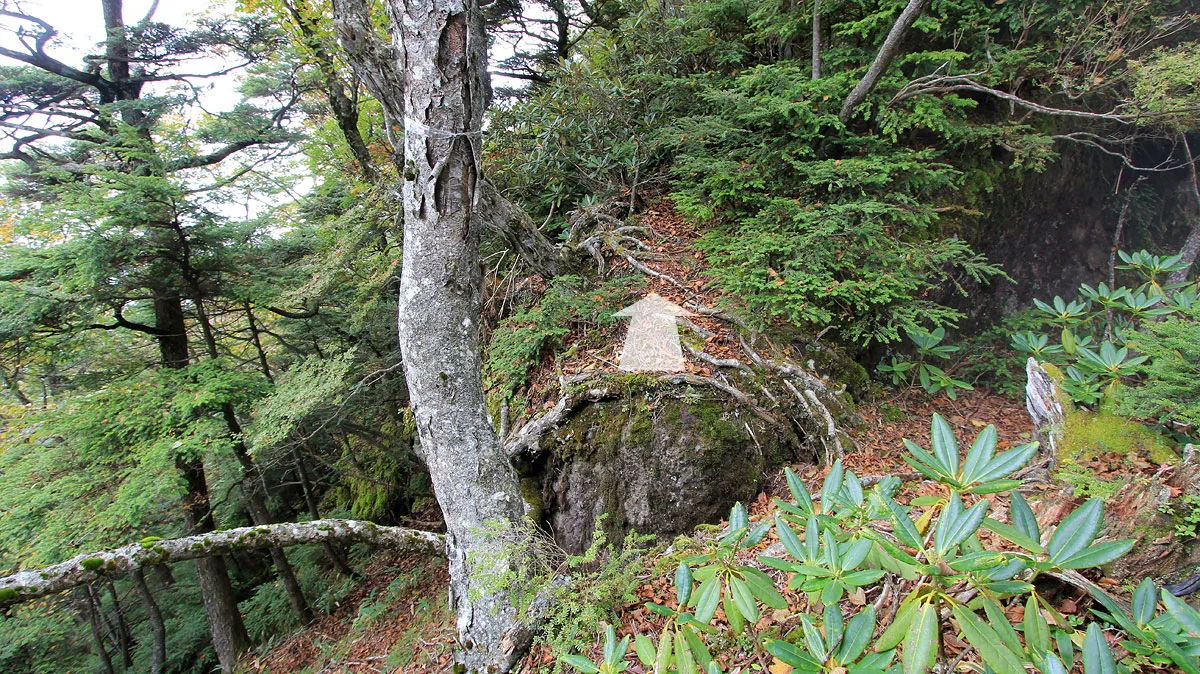 袈裟丸連峰登山道