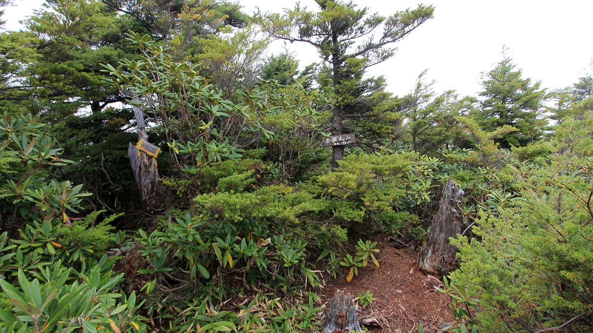 袈裟丸山最高峰
