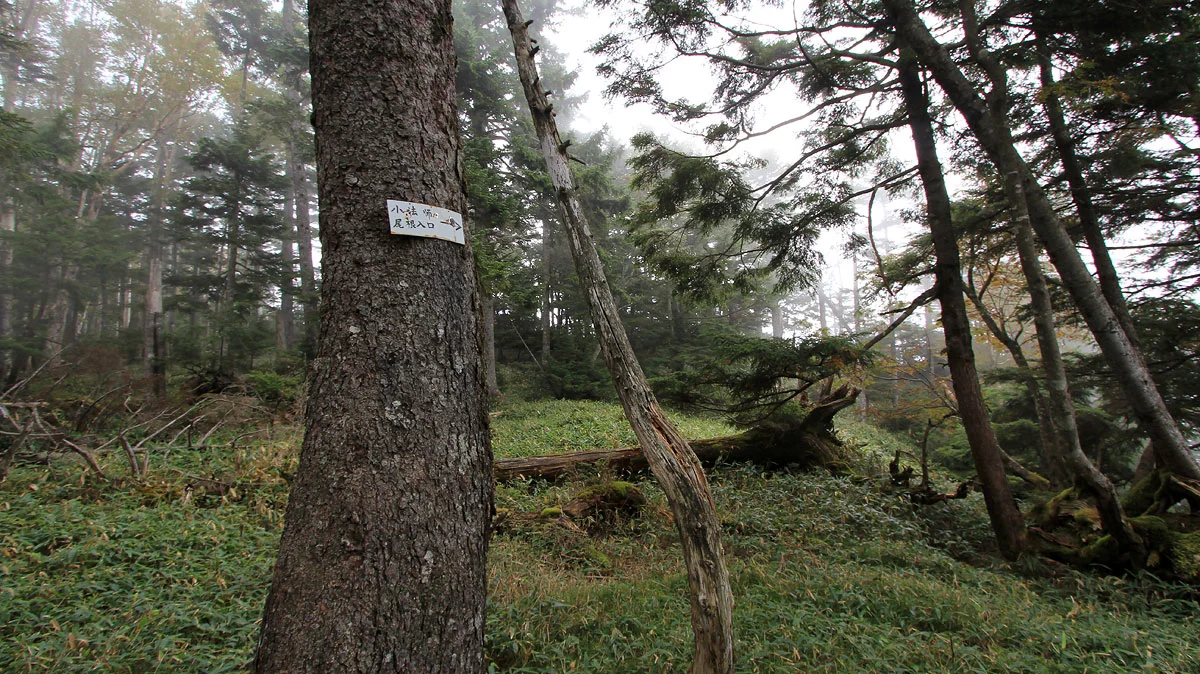 小法師尾根入口の道標
