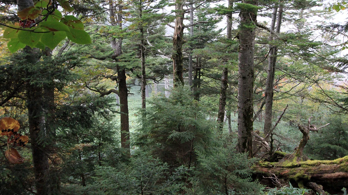 寝釈迦のある大岩