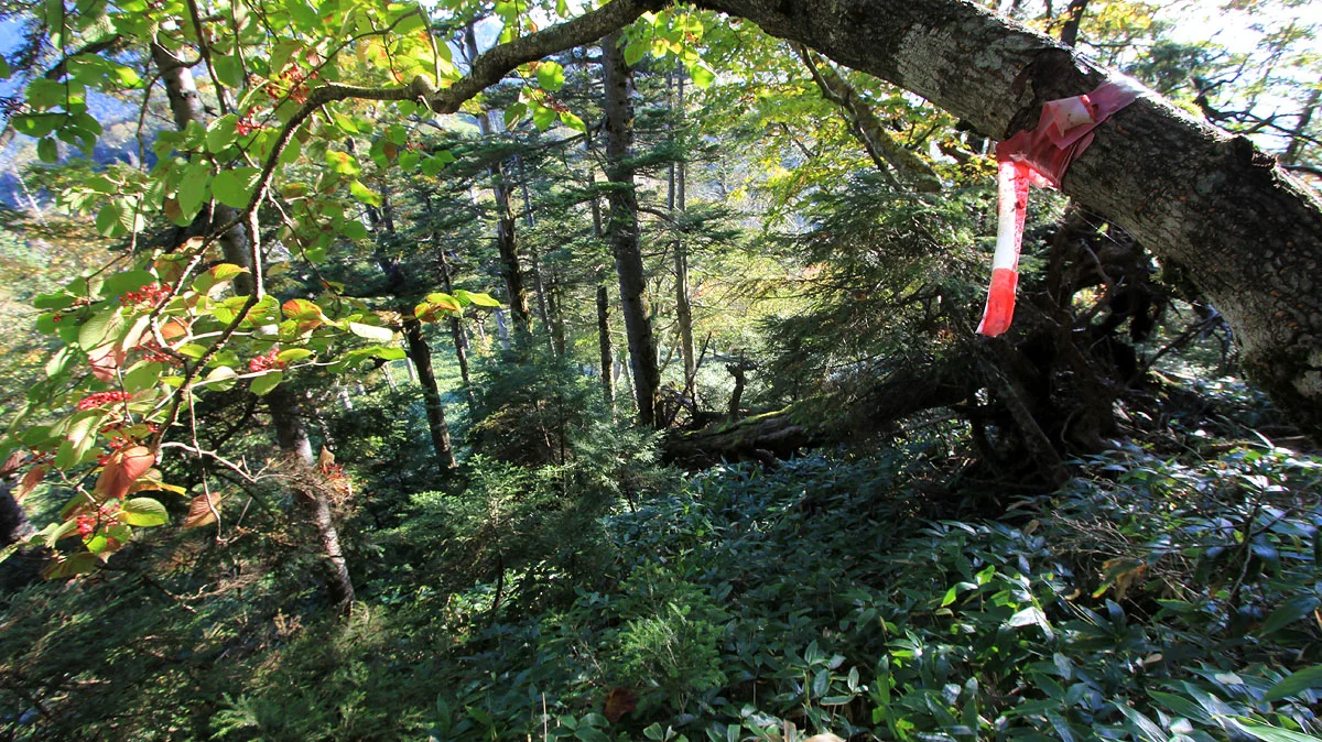 最後の目印がある地点