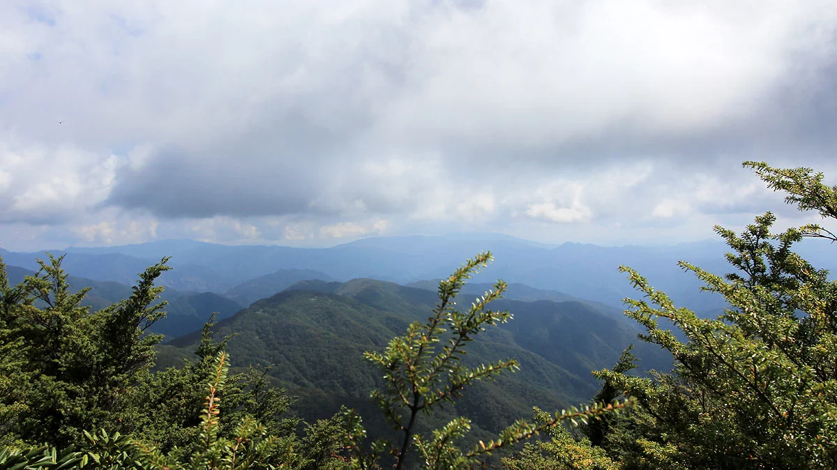 奥袈裟丸山から東側