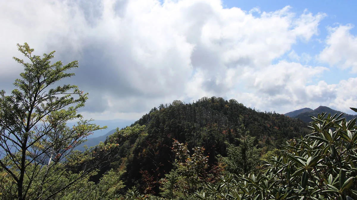 奥袈裟丸山から南側