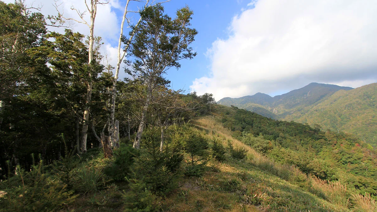 後袈裟、前袈裟