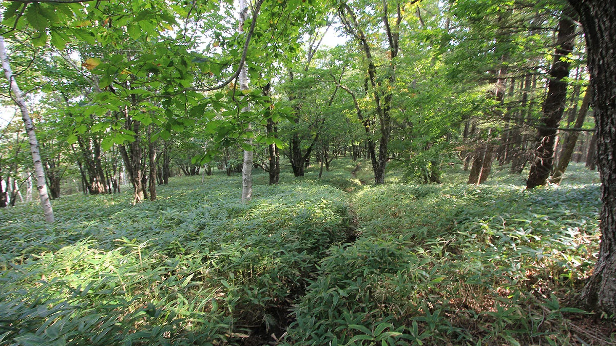 群界尾根登山道