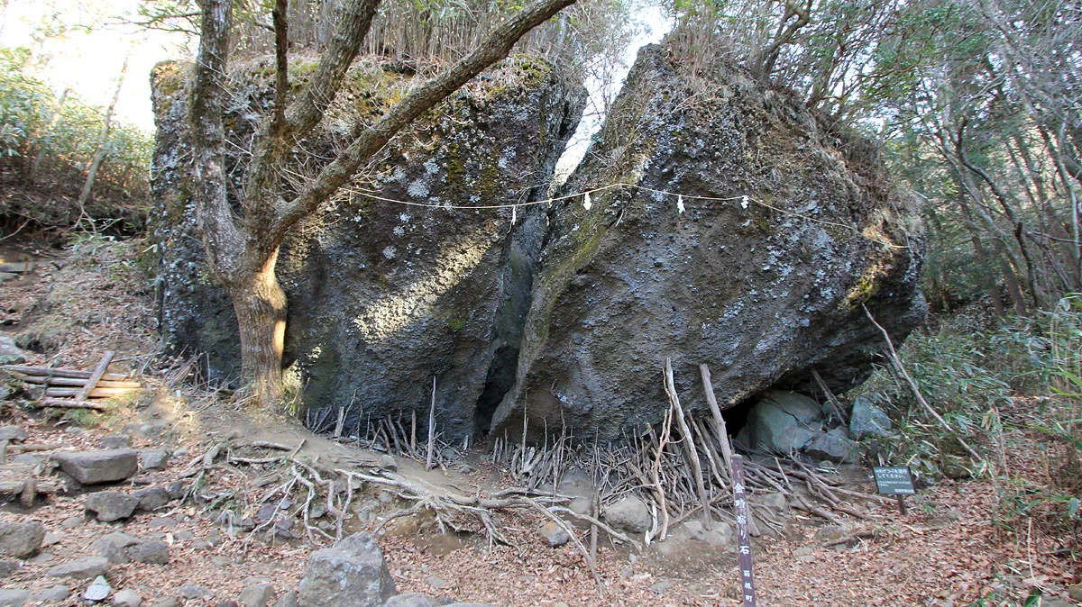 金時宿り石