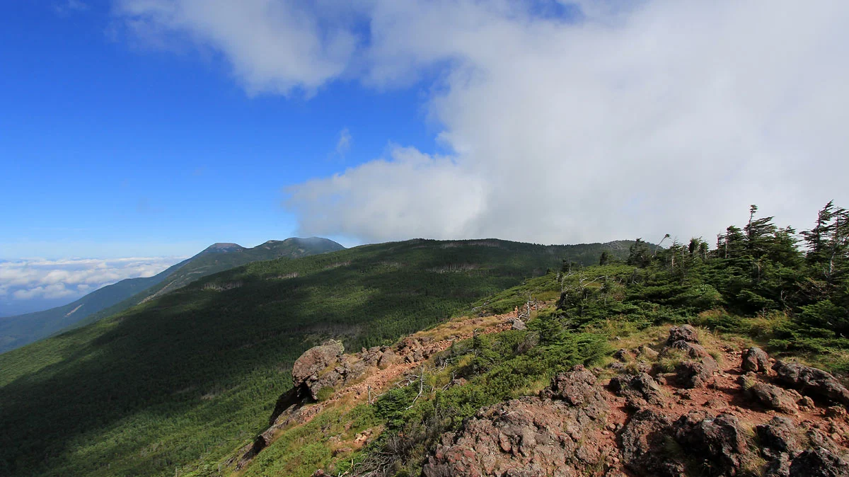 遠くに蓼科山と北横岳と縞枯山