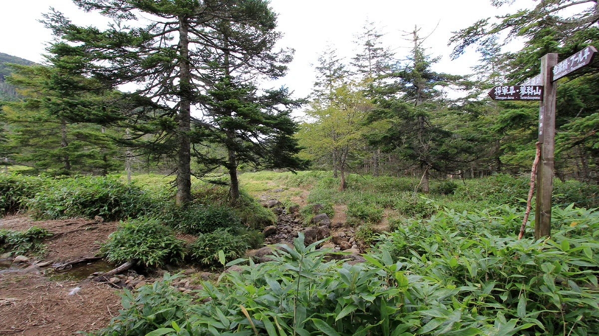 蓼科山への分岐地点