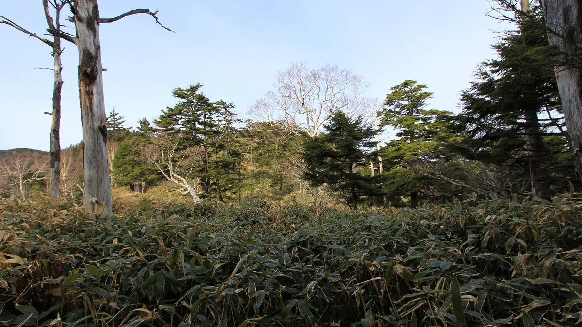 目の前にピーク