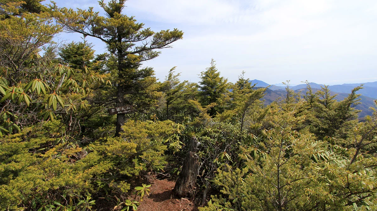 袈裟丸連峰最高峰
