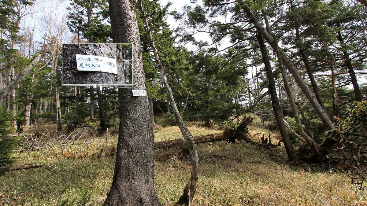 小法師尾根分岐