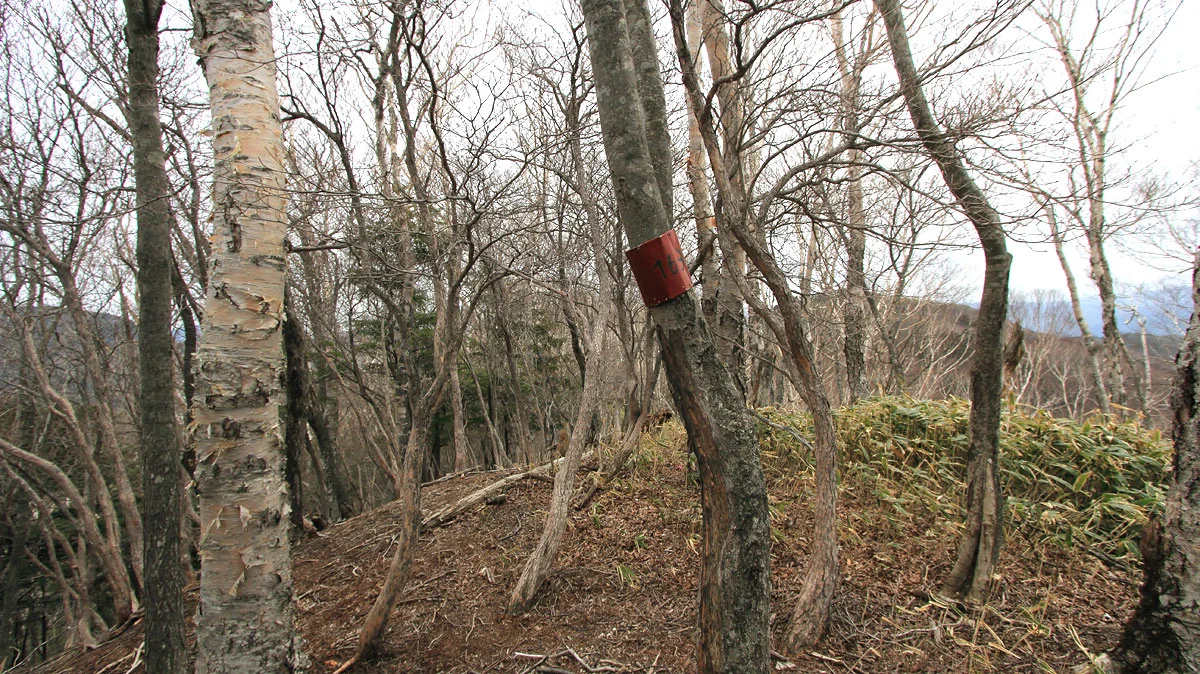 1,690mのピーク山頂