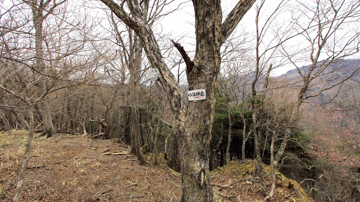 小法師岳に到着